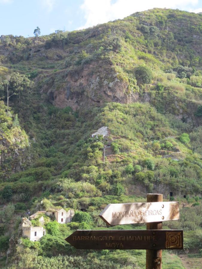 La Cueva De Angel B&B Firgas Eksteriør billede
